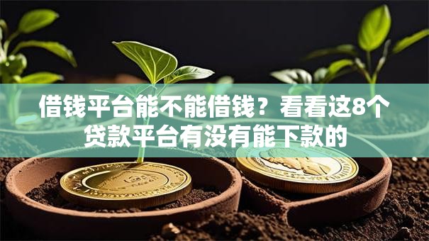 借钱平台能不能借钱？看看这8个贷款平台有没有能下款的