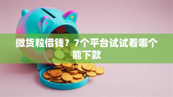 微货粒借钱？7个平台试试看哪个能下款