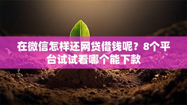 在微信怎样还网贷借钱呢？8个平台试试看哪个能下款