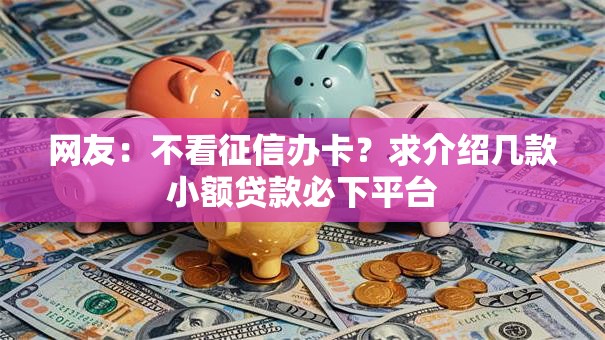 网友：不看征信办卡？求介绍几款小额贷款必下平台