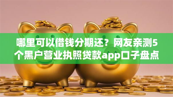 哪里可以借钱分期还？网友亲测5个黑户营业执照贷款app口子盘点