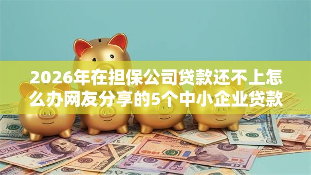 2026年在担保公司贷款还不上怎么办网友分享的5个中小企业贷款平台我觉得不错！