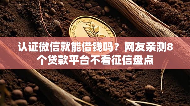 认证微信就能借钱吗？网友亲测8个贷款平台不看征信盘点