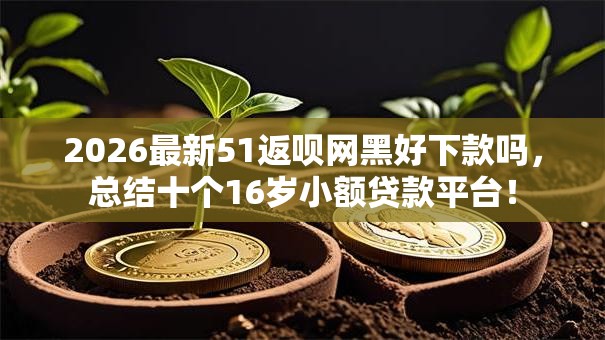 2026最新51返呗网黑好下款吗,总结十个16岁小额贷款平台! 2026最新51返呗网黑好下款吗,总结十个16岁小额贷款平台!