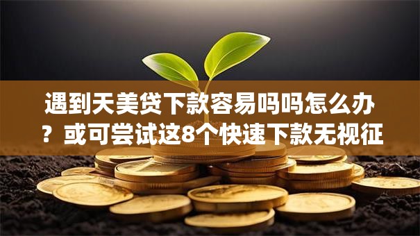 遇到天美贷下款容易吗吗怎么办？或可尝试这8个快速下款无视征信的app