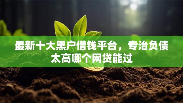 最新十大黑户借钱平台，专治负债太高哪个网贷能过
