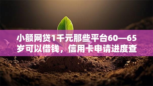 小额网贷1千元那些平台60—65岁可以借钱，信用卡申请进度查询的8个平台介绍