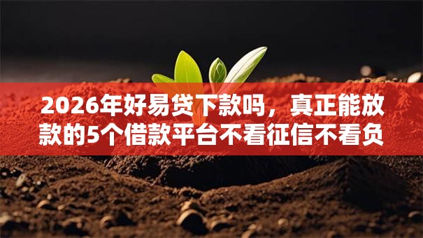2026年好易贷下款吗，真正能放款的5个借款平台不看征信不看负债推荐