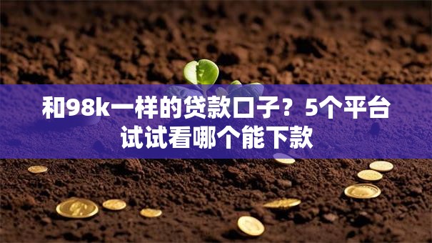 和98k一样的贷款口子？5个平台试试看哪个能下款