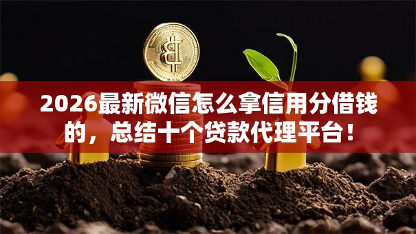 2026最新微信怎么拿信用分借钱的，总结十个贷款代理平台！