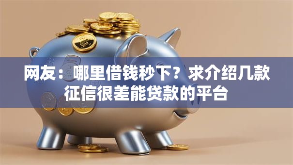 网友：哪里借钱秒下？求介绍几款征信很差能贷款的平台