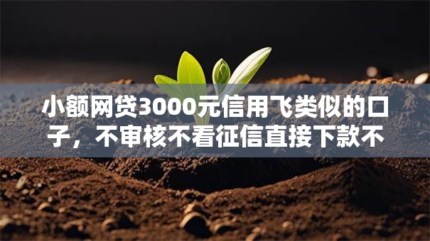 小额网贷3000元信用飞类似的口子，不审核不看征信直接下款不需要银行卡的5个平台介绍