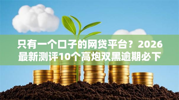 只有一个口子的网贷平台？2026最新测评10个高炮双黑逾期必下款口子