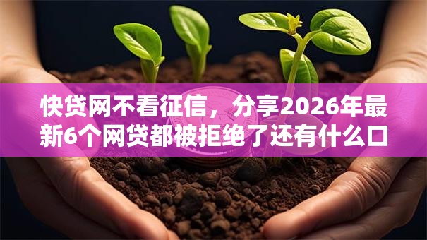 快贷网不看征信，分享2026年最新6个网贷都被拒绝了还有什么口子