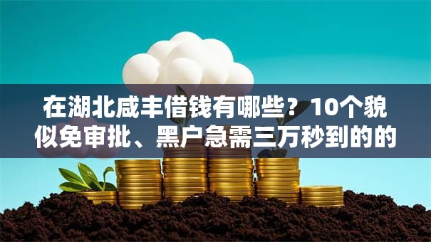在湖北咸丰借钱有哪些?10个貌似免审批、黑户急需三万秒到的的口子合集 在湖北咸丰借钱有哪些?10个貌似免审批、黑户急需三万秒到的的口子合集