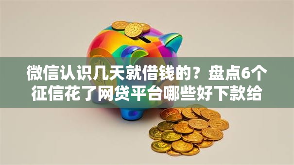 微信认识几天就借钱的？盘点6个征信花了网贷平台哪些好下款给你参考
