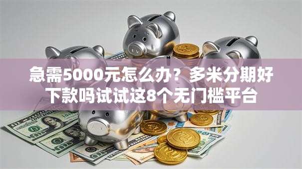急需5000元怎么办？多米分期好下款吗试试这8个无门槛平台