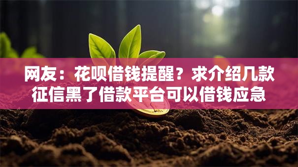 网友:花呗借钱提醒?求介绍几款征信黑了借款平台可以借钱应急 网友:花呗借钱提醒?求介绍几款征信黑了借款平台可以借钱应急