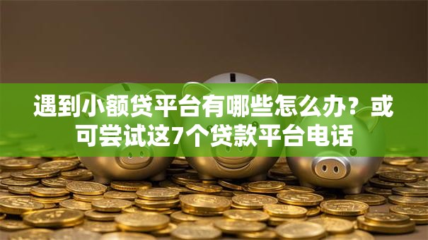 遇到小额贷平台有哪些怎么办?或可尝试这7个贷款平台电话 遇到小额贷平台有哪些怎么办?或可尝试这7个贷款平台电话
