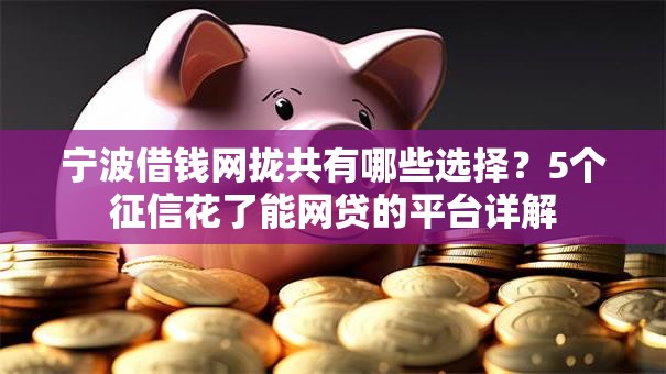宁波借钱网拢共有哪些选择?5个征信花了能网贷的平台详解 宁波借钱网拢共有哪些选择?5个征信花了能网贷的平台详解