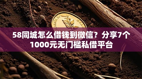58同城怎么借钱到微信？分享7个1000元无门槛私借平台