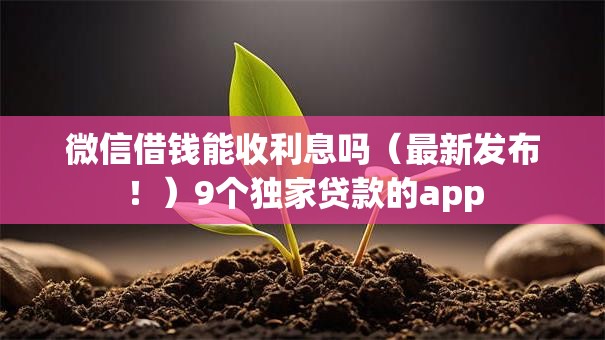 微信借钱能收利息吗(最新发布!)9个独家贷款的app 微信借钱能收利息吗(最新发布!)9个独家贷款的app