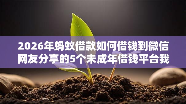 2026年蚂蚁借款如何借钱到微信网友分享的5个未成年借钱平台我觉得不错！