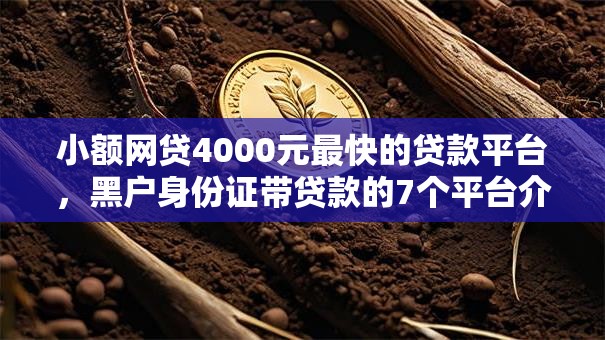 小额网贷4000元最快的贷款平台，黑户身份证带贷款的7个平台介绍