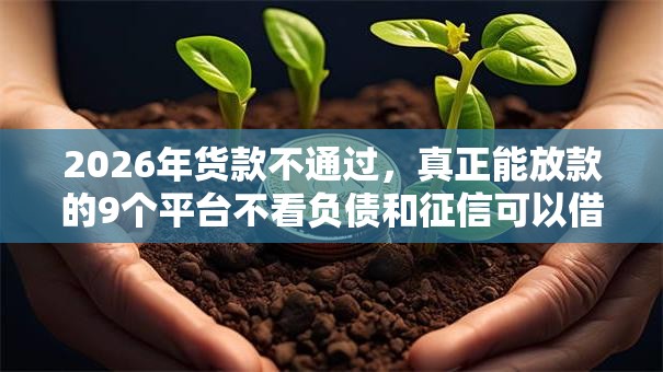 2026年货款不通过，真正能放款的9个平台不看负债和征信可以借到钱推荐