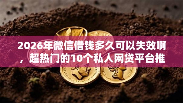 2026年微信借钱多久可以失效啊,超热门的10个私人网贷平台推荐 2026年微信借钱多久可以失效啊,超热门的10个私人网贷平台推荐