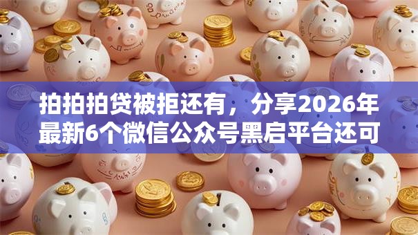 拍拍拍贷被拒还有，分享2026年最新6个微信公众号黑启平台还可以贷款