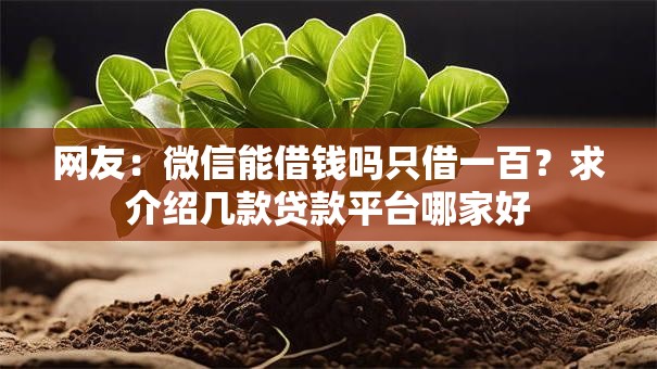 网友：微信能借钱吗只借一百？求介绍几款贷款平台哪家好