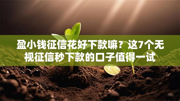 盈小钱征信花好下款嘛？这7个无视征信秒下款的口子值得一试