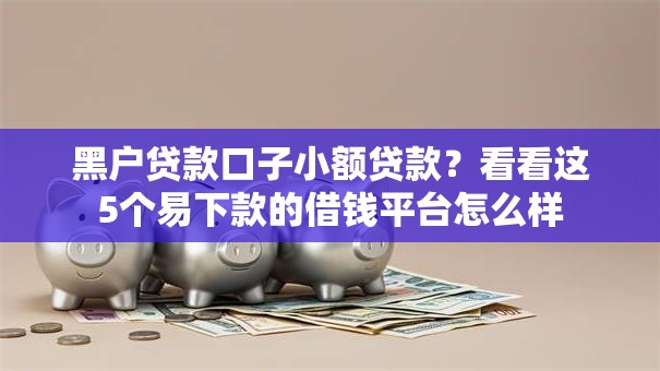 黑户贷款口子小额贷款？看看这5个易下款的借钱平台怎么样