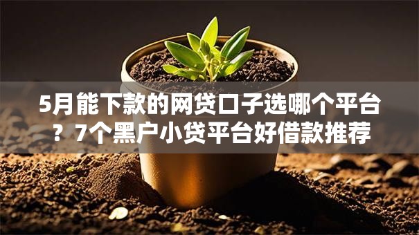 5月能下款的网贷口子选哪个平台?7个黑户小贷平台好借款推荐 5月能下款的网贷口子选哪个平台?7个黑户小贷平台好借款推荐