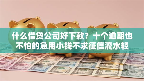 什么借贷公司好下款？十个逾期也不怕的急用小钱不求征信流水轻松贷的软件