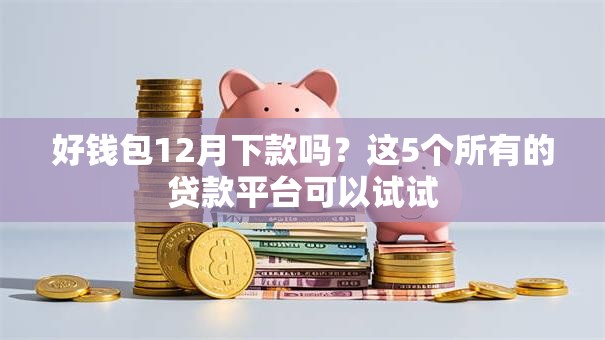 好钱包12月下款吗？这5个所有的贷款平台可以试试