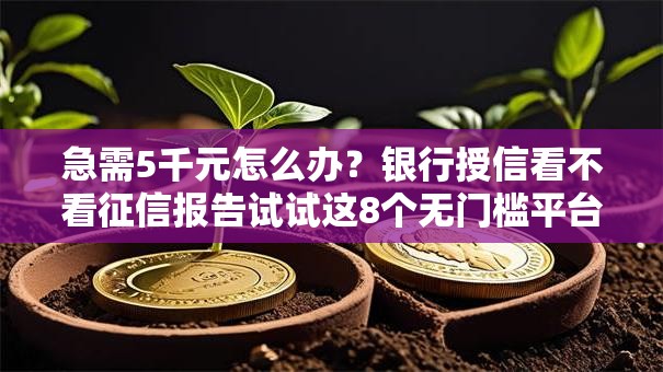 急需5千元怎么办?银行授信看不看征信报告试试这8个无门槛平台 急需5千元怎么办?银行授信看不看征信报告试试这8个无门槛平台