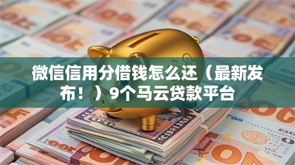 微信信用分借钱怎么还（最新发布！）9个马云贷款平台