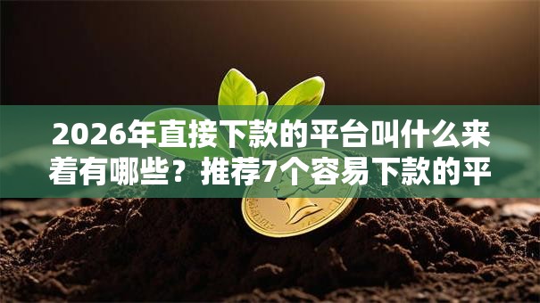2026年直接下款的平台叫什么来着有哪些？推荐7个容易下款的平台