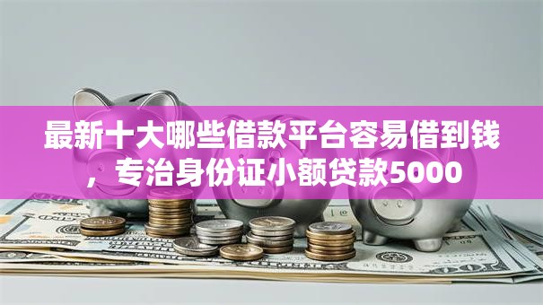 最新十大哪些借款平台容易借到钱，专治身份证小额贷款5000