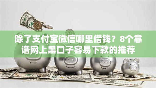 除了支付宝微信哪里借钱？8个靠谱网上黑口子容易下款的推荐