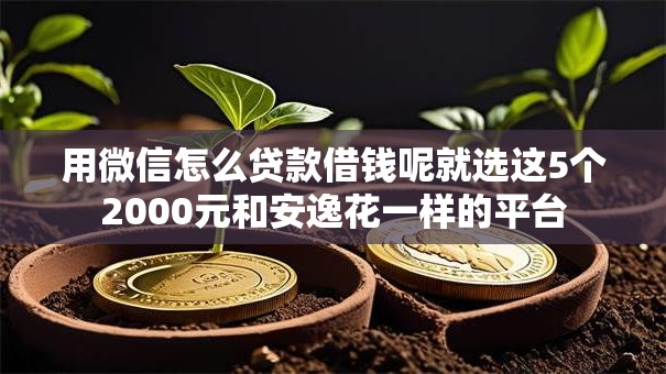 用微信怎么贷款借钱呢就选这5个2000元和安逸花一样的平台 用微信怎么贷款借钱呢就选这5个2000元和安逸花一样的平台
