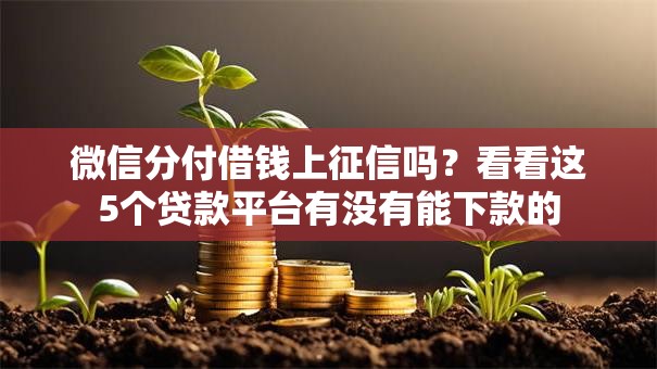 微信分付借钱上征信吗？看看这5个贷款平台有没有能下款的