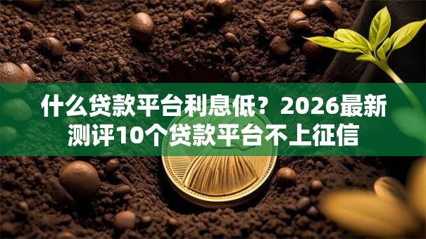 什么贷款平台利息低?2026最新测评10个贷款平台不上征信 什么贷款平台利息低?2026最新测评10个贷款平台不上征信