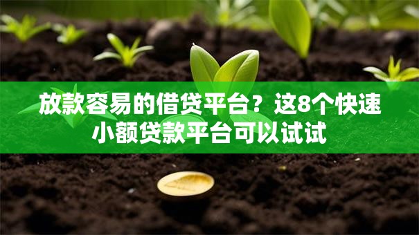 放款容易的借贷平台?这8个快速小额贷款平台可以试试 放款容易的借贷平台?这8个快速小额贷款平台可以试试