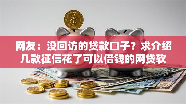 网友：没回访的贷款口子？求介绍几款征信花了可以借钱的网贷软件