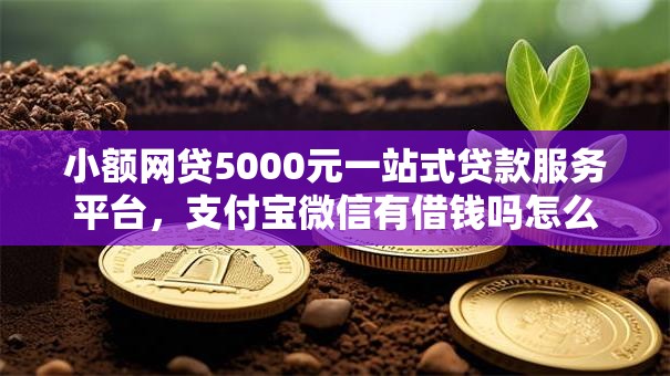 小额网贷5000元一站式贷款服务平台，支付宝微信有借钱吗怎么借的8个平台介绍