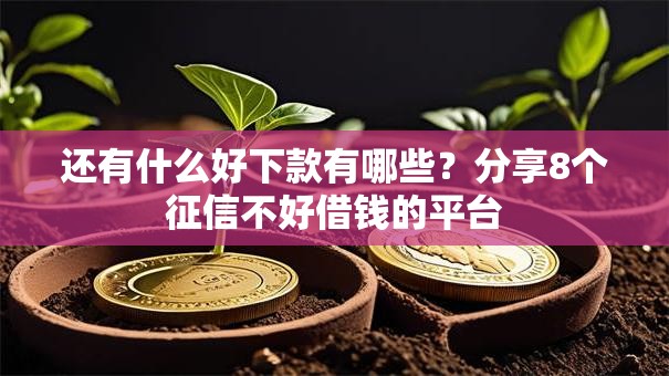 还有什么好下款有哪些?分享8个征信不好借钱的平台 还有什么好下款有哪些?分享8个征信不好借钱的平台
