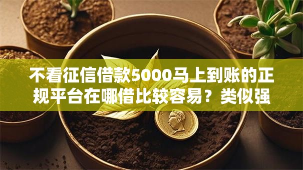 不看征信借款5000马上到账的正规平台在哪借比较容易？类似强制下款的6个口子参考